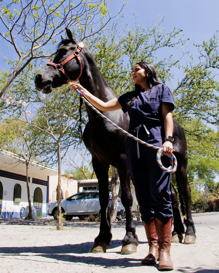 El Diseño de Uniformes Quirúrgicos para Profesionales del Cuidado Animal: Comodidad, Funcionalidad y Protección